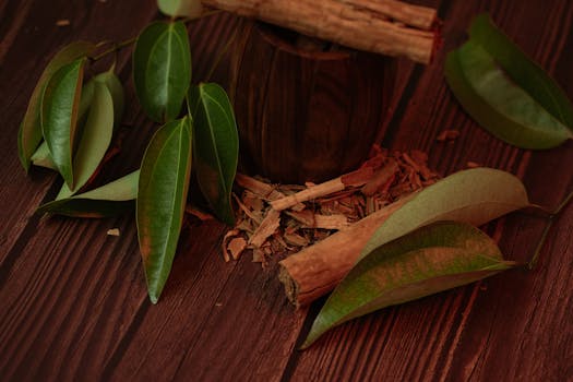 Ceylon Cinnamon vs Cassia: What's the Difference?