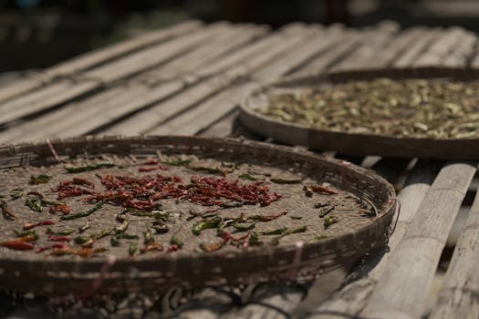 Understanding Chili Heat: A Beginner's Guide