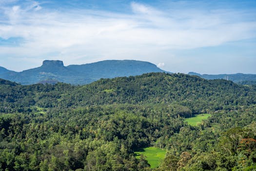 How We Source Spices Directly from Sri Lanka